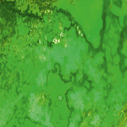 Dirty Down - Water Soluble Paint - Moss Effect - Large 250ml pot