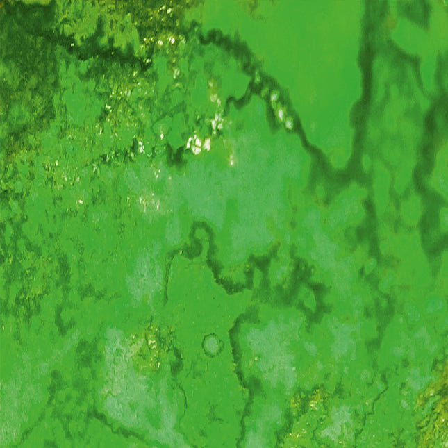 Dirty Down - Water Soluble Paint - Moss Effect - Large 250ml pot