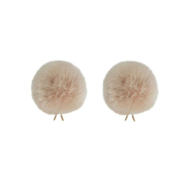 The Twin Windbubble