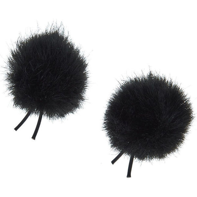 The Twin Windbubble