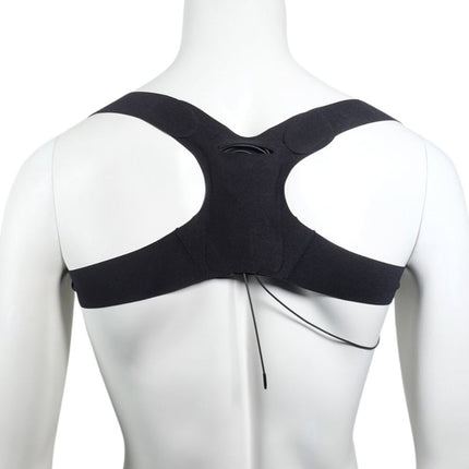 URSA - Back Strap