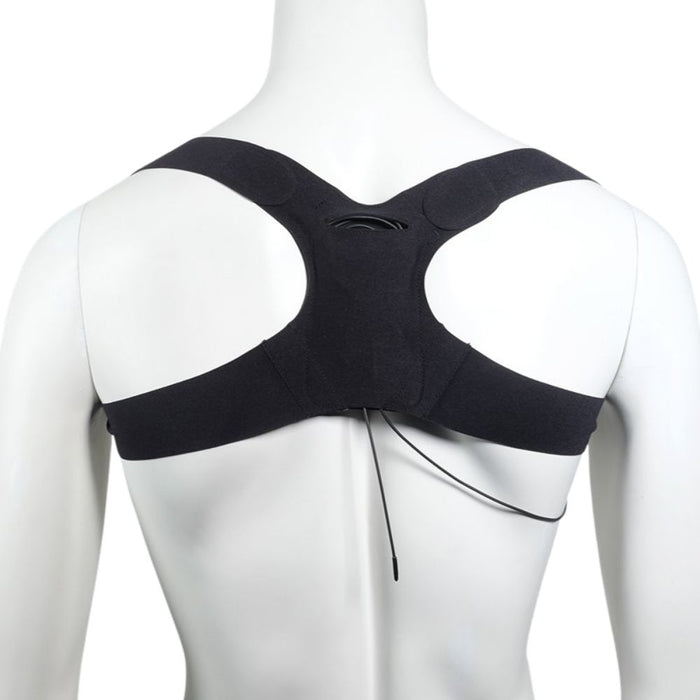 URSA - Back Strap