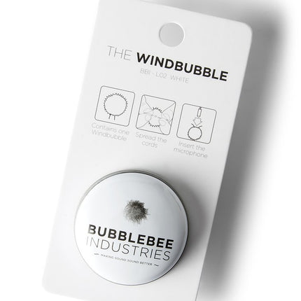 The Windbubble